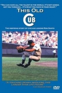 Poster This Old Cub