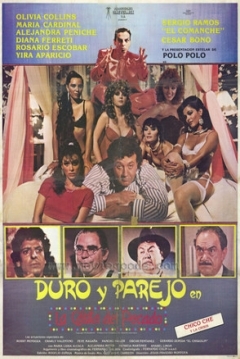 Ficha Duro y parejo en la casita de pecado