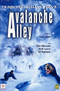 Poster Avalancha