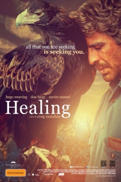 Poster Healing