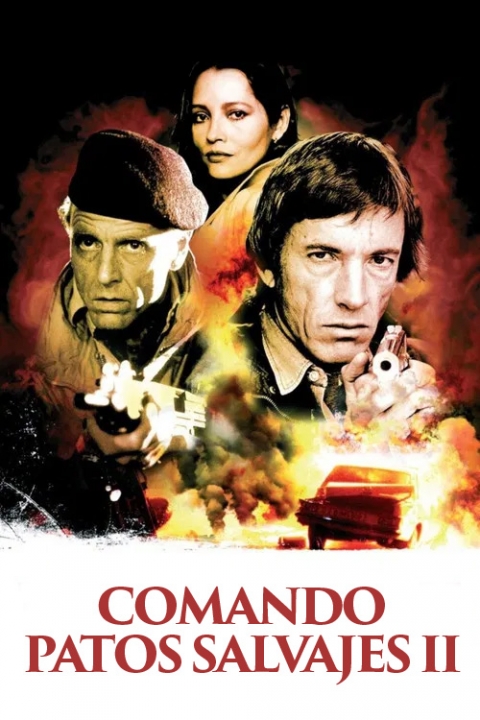 Poster Comando: Patos Salvajes 2