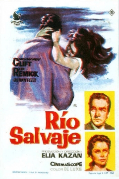 Poster Río Salvaje