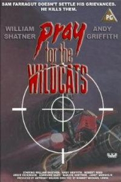 Poster Una Oración para los Gatos Salvajes