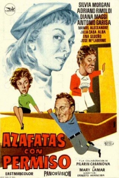 Poster Azafatas con Permiso