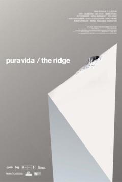 Poster Pura Vida