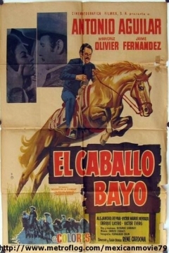 Ficha El Caballo Bayo