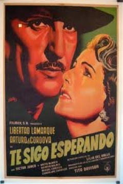 Poster Te sigo esperando