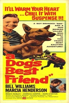 Poster A Dog's Best Friend