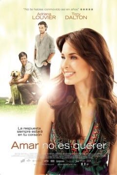 Poster Amar No Es Querer