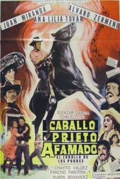 Poster Caballo prieto afamado