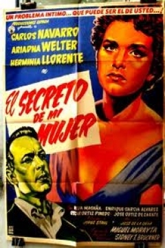 Poster El secreto de Mi mujer