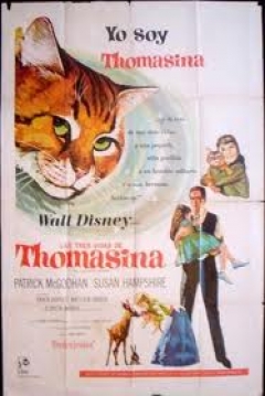 Poster Las Tres Vidas de Tomasina