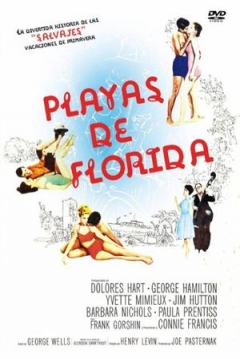Ficha Playas de Florida