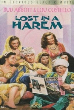Poster Lost in a Harem