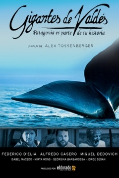 Poster Gigantes de Valdes
