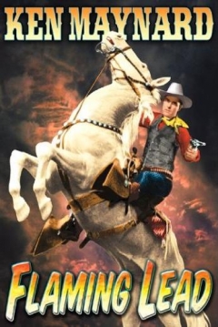 Poster Flaming Lead