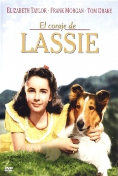 Poster El Coraje de Lassie