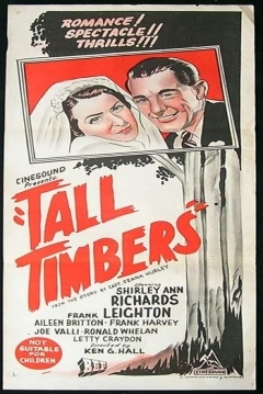 Poster Tall Timbers
