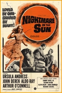 Poster Pesadilla bajo el sol