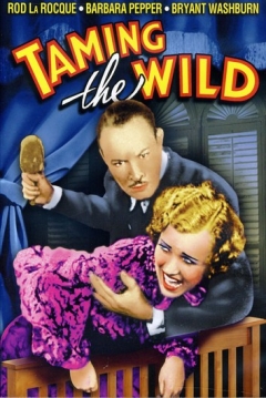 Poster Taming the Wild