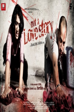 Poster Not a Love Story 