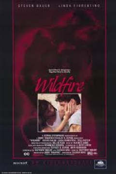 Poster Wildfire