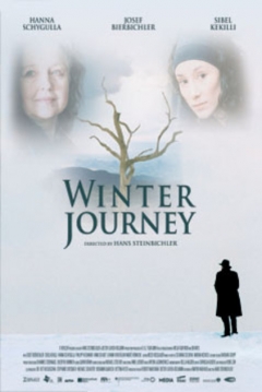 Poster Winter Journey