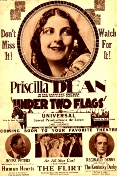 Poster Bajo Dos Banderas
