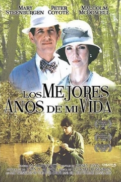 Poster Los Mejores Años de mi Vida