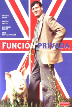 Poster Función Privada