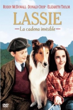 Poster Lassie: La Cadena Invisible