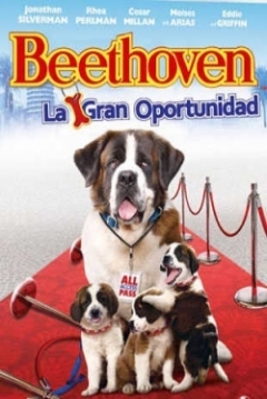Poster Beethoven 6: La Gran Oportunidad