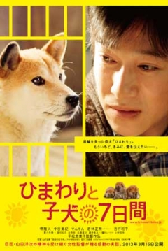 Poster 7 Days of Himawari & Her Puppies 