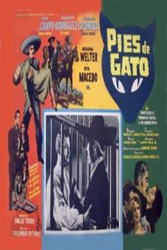 Poster Pies de gato