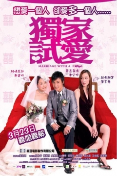 Poster Marriage with a Fool