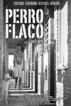 Poster Perro Flaco