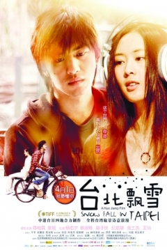 Poster Snowfall in Taipei