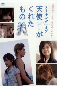 Poster The Gift from Heaven