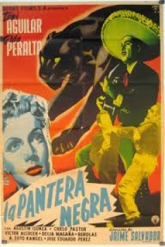Poster La Pantera Negra