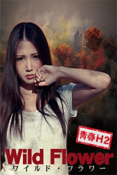 Poster Wild Flower