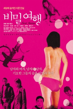 Poster Secret Journey 