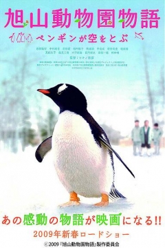 Poster Penguins in the Sky