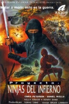 Poster Proyecto Ninjas del Infierno
