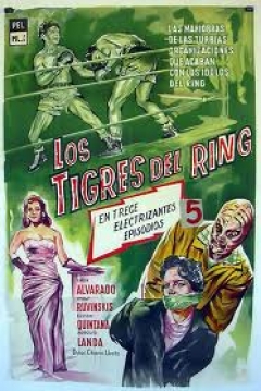 Poster Los tigres del ring