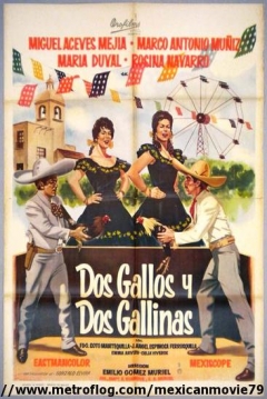Poster Dos gallos y dos gallinas 
