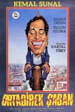 Poster Ortadirek Saban