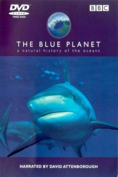 Poster Planeta Azul