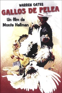 Poster Gallos de Pelea