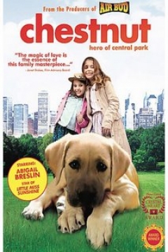 Poster Chestnut: El Héroe de Central Park