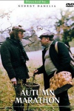 Poster Maratón de Otoño